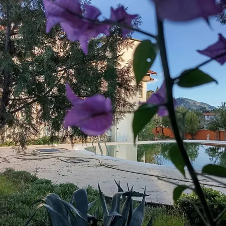 Nosi Dalyan Ortaca (Mugla)
